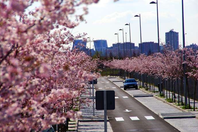Valdebebas, muy cerca del centro de Madrid Paisajismo Valdebebas