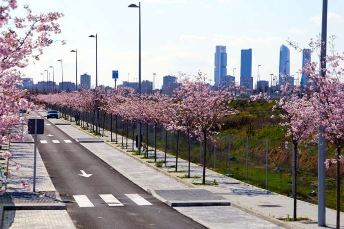 Calles de Valdebebas