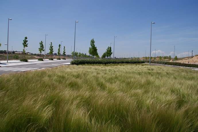El uso de las gramíneas para dar color en Valdebebas Calles de Valdebebas