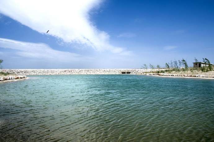 Lago en el Parque Forestal de Valdebebas. Foto: Art Photon Paisajismo Valdebebas