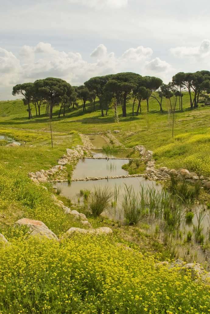 Cortesía de la Subdirección Gral de Proyectos y Obras / D.G. de Patrimonio Verde, Ayto de Madrid. Todos los derechos reservados Paisajismo Valdebebas