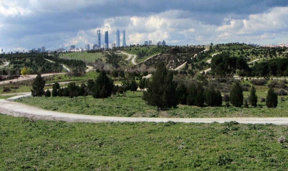 Parque Forestal Felipe VI después 2020